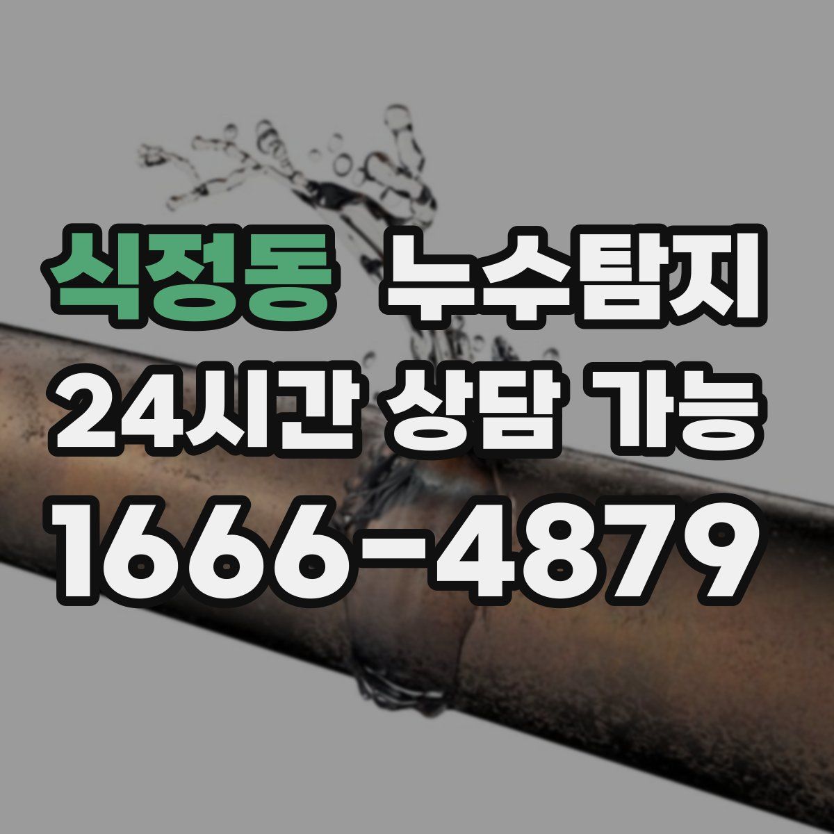 식정동 누수탐지