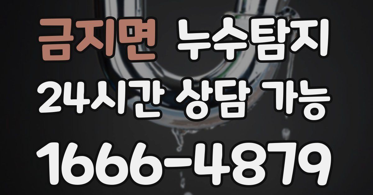 금지면 누수