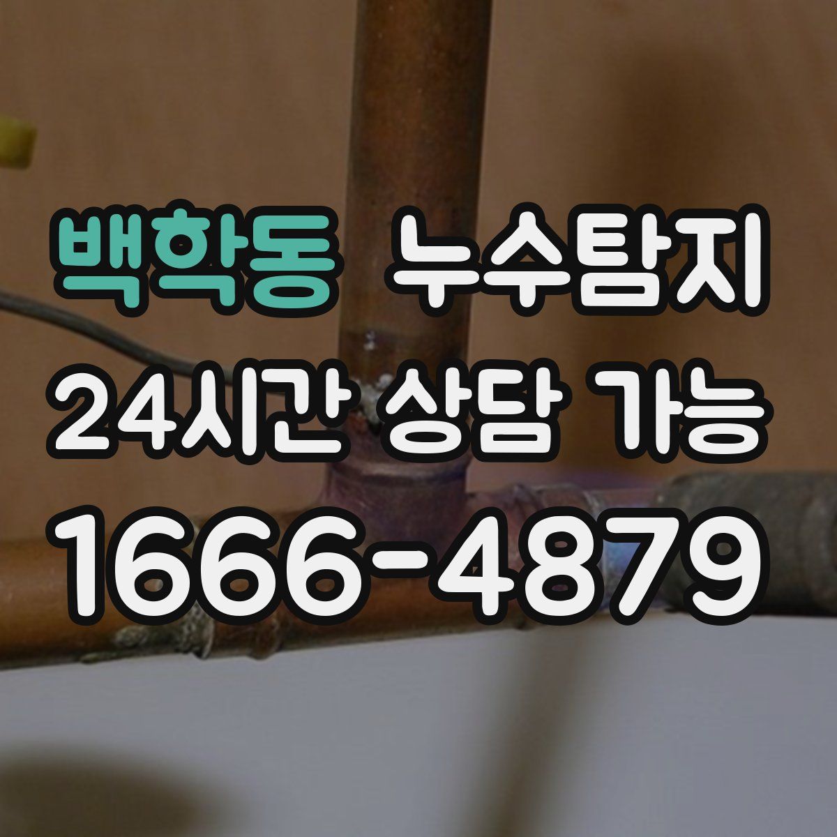 백학동 누수탐지