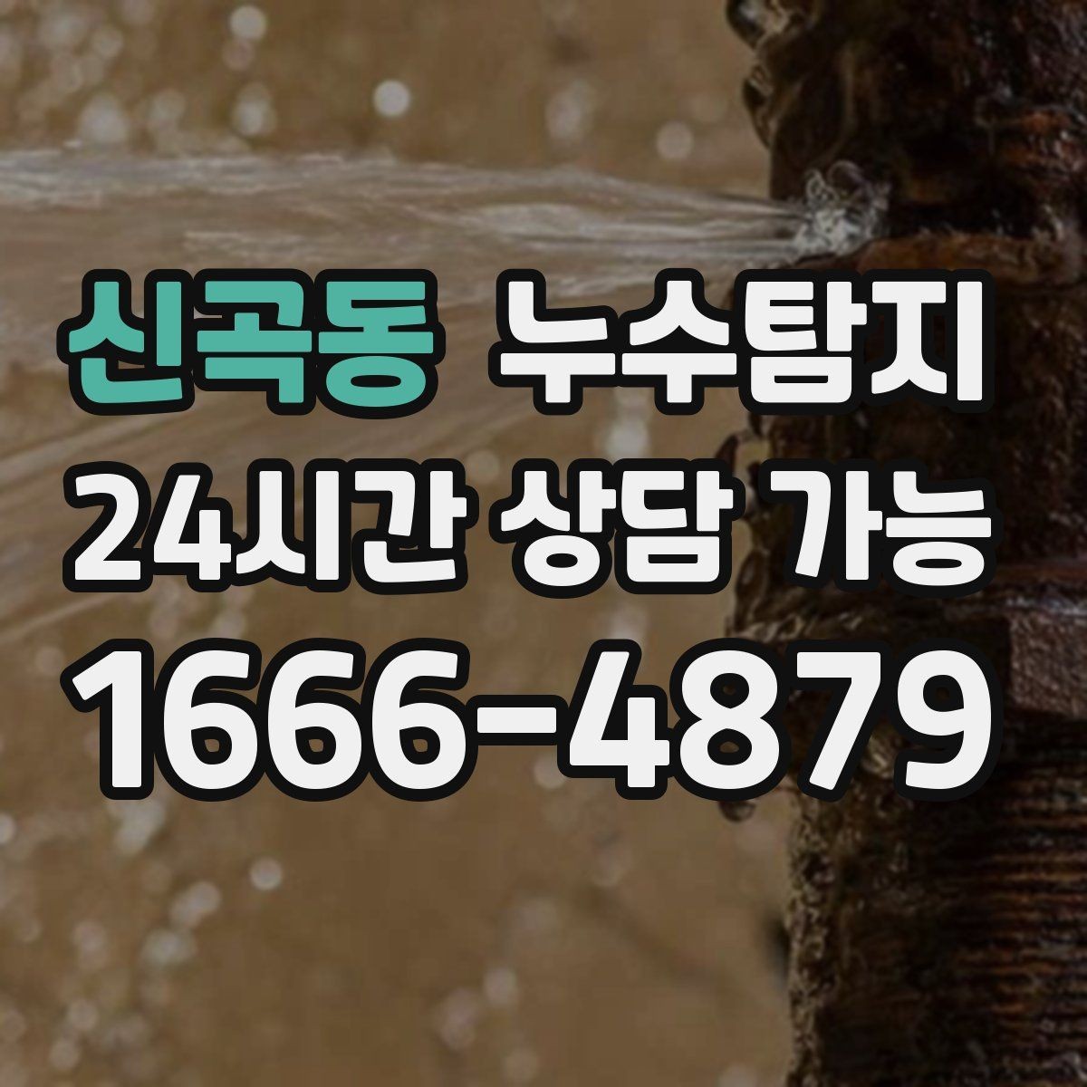 신곡동 누수탐지 새집인데 왜 물이 새는지 점검기