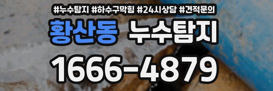 누수탐지