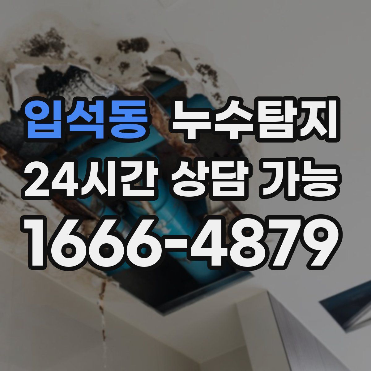 입석동 누수탐지