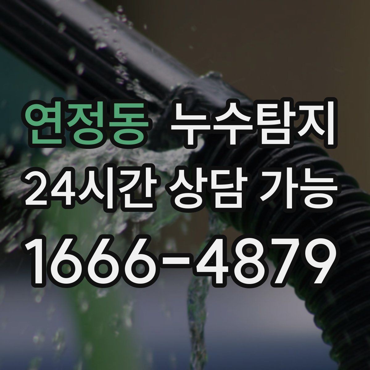 연정동 누수탐지 전문가와 함께한 현장 진단 이야기