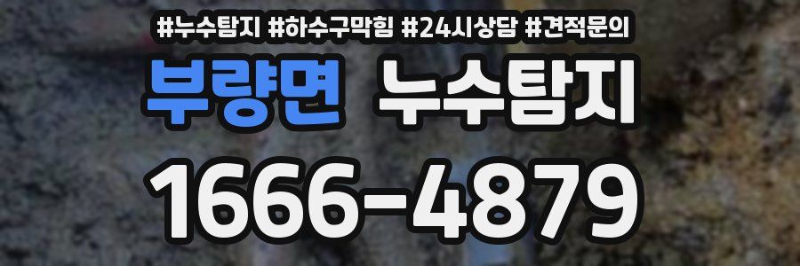 누수탐지