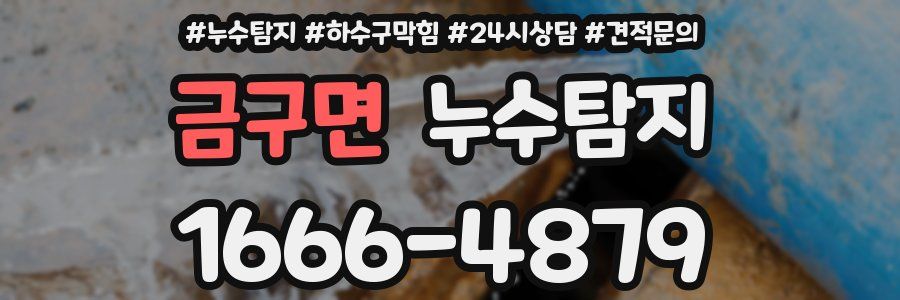 누수탐지
