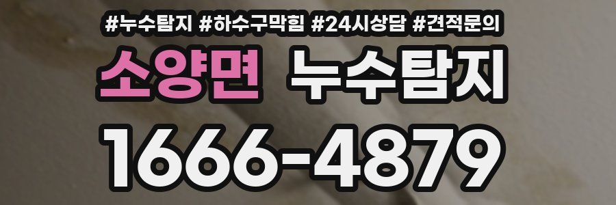 누수탐지