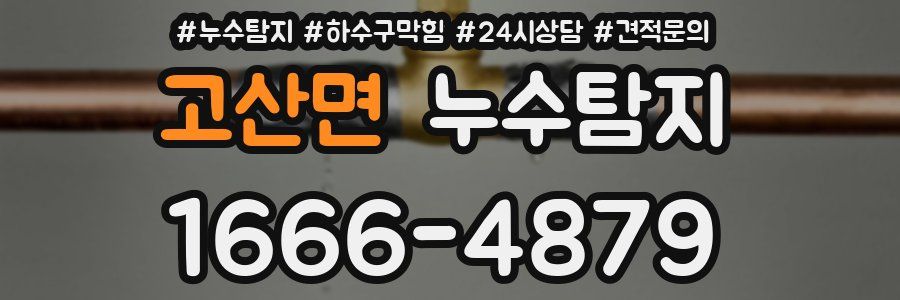 누수탐지