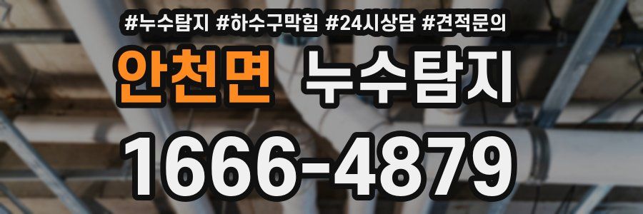 누수탐지