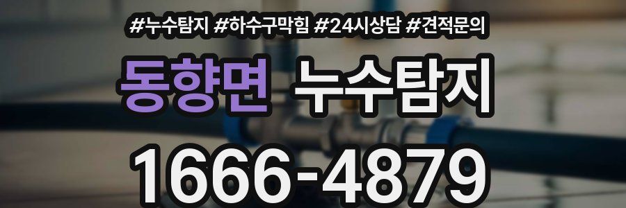 누수탐지