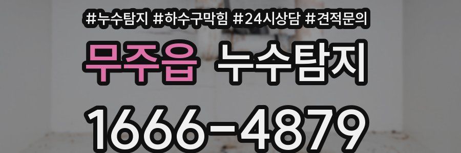 누수탐지