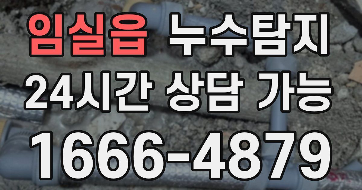 임실읍 누수