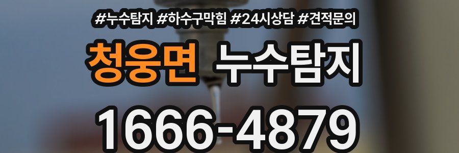 누수탐지