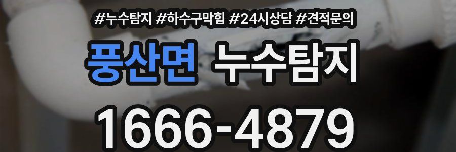 누수탐지