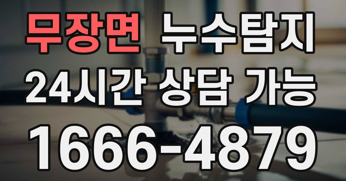 무장면 누수