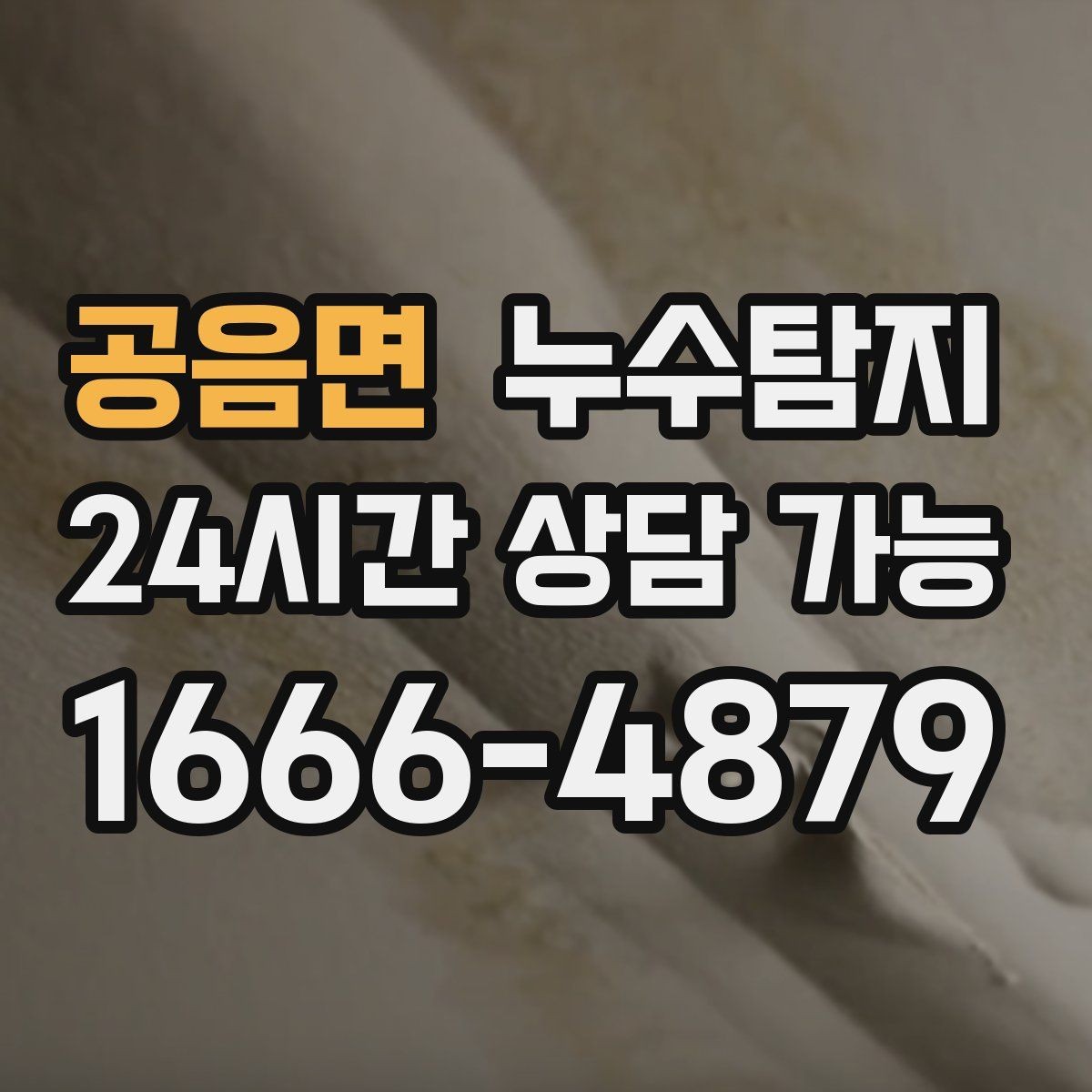 공음면 누수탐지 반지하 습기 문제 해결기