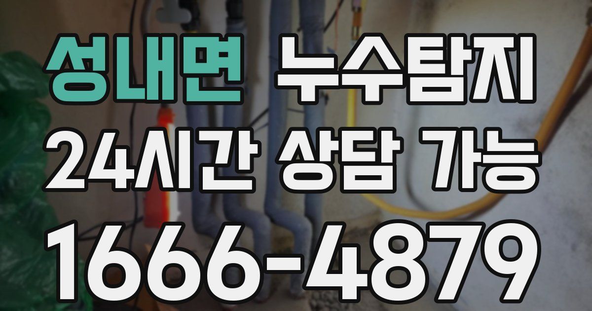 성내면 누수