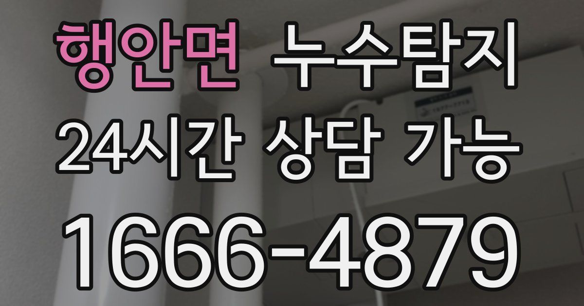 행안면 누수