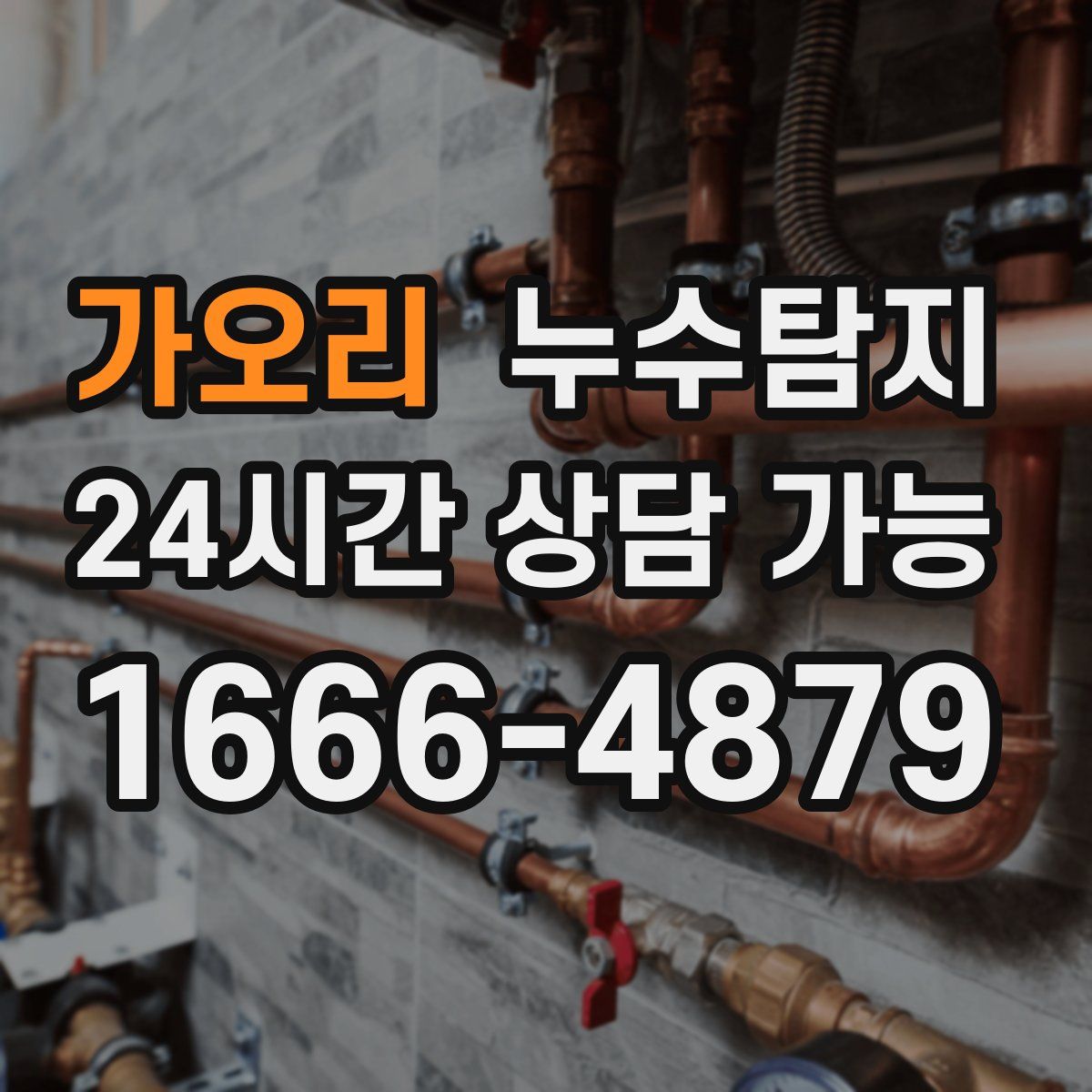 가오리 누수탐지