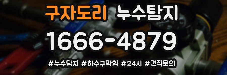 누수닥터 누수탐지