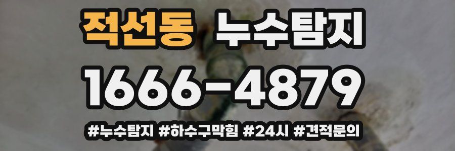누수닥터 누수탐지