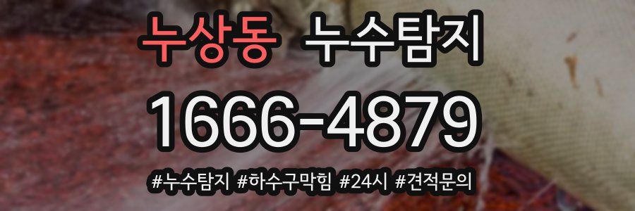 누수닥터 누수탐지