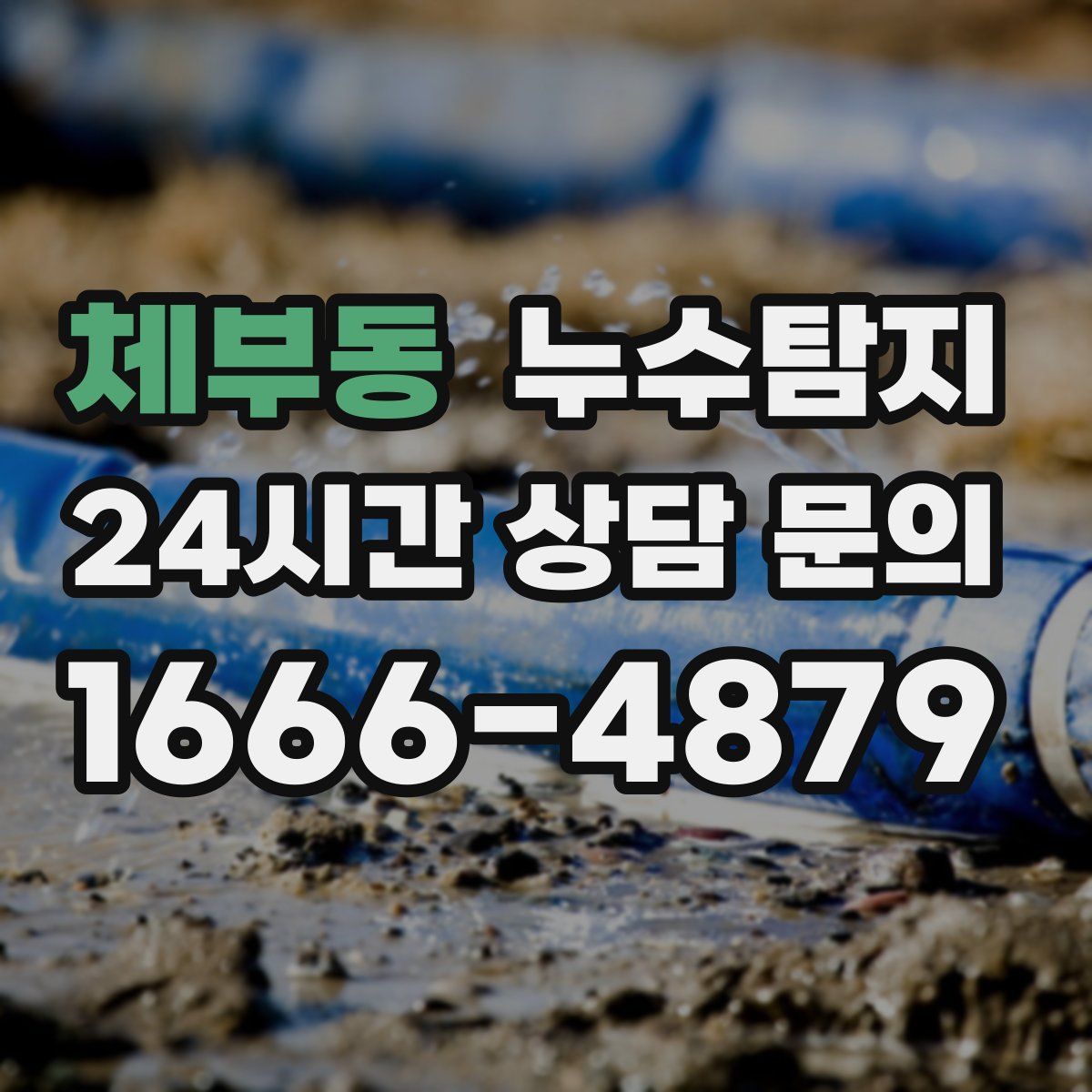 누수탐지