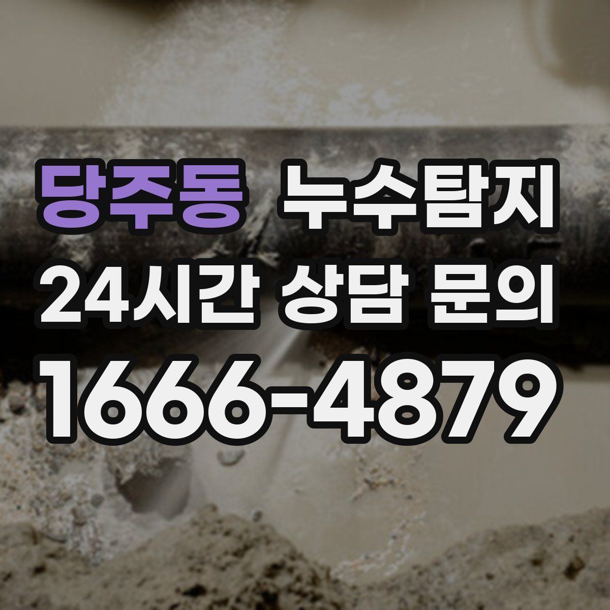 누수탐지