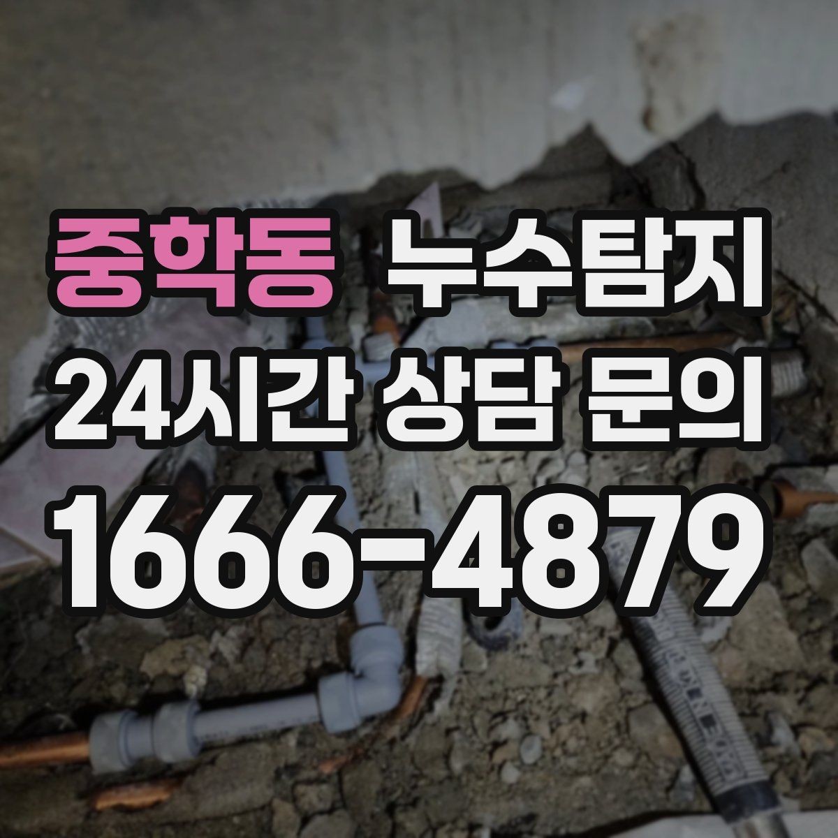 중학동 누수탐지 학교 시설 점검 사례 공유