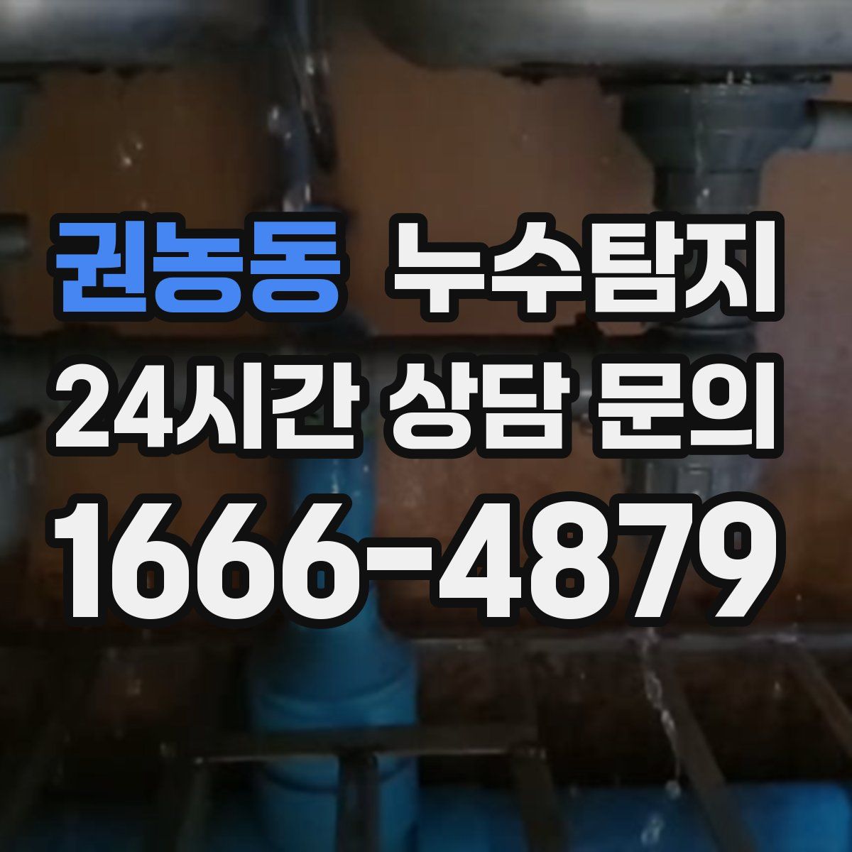 누수탐지