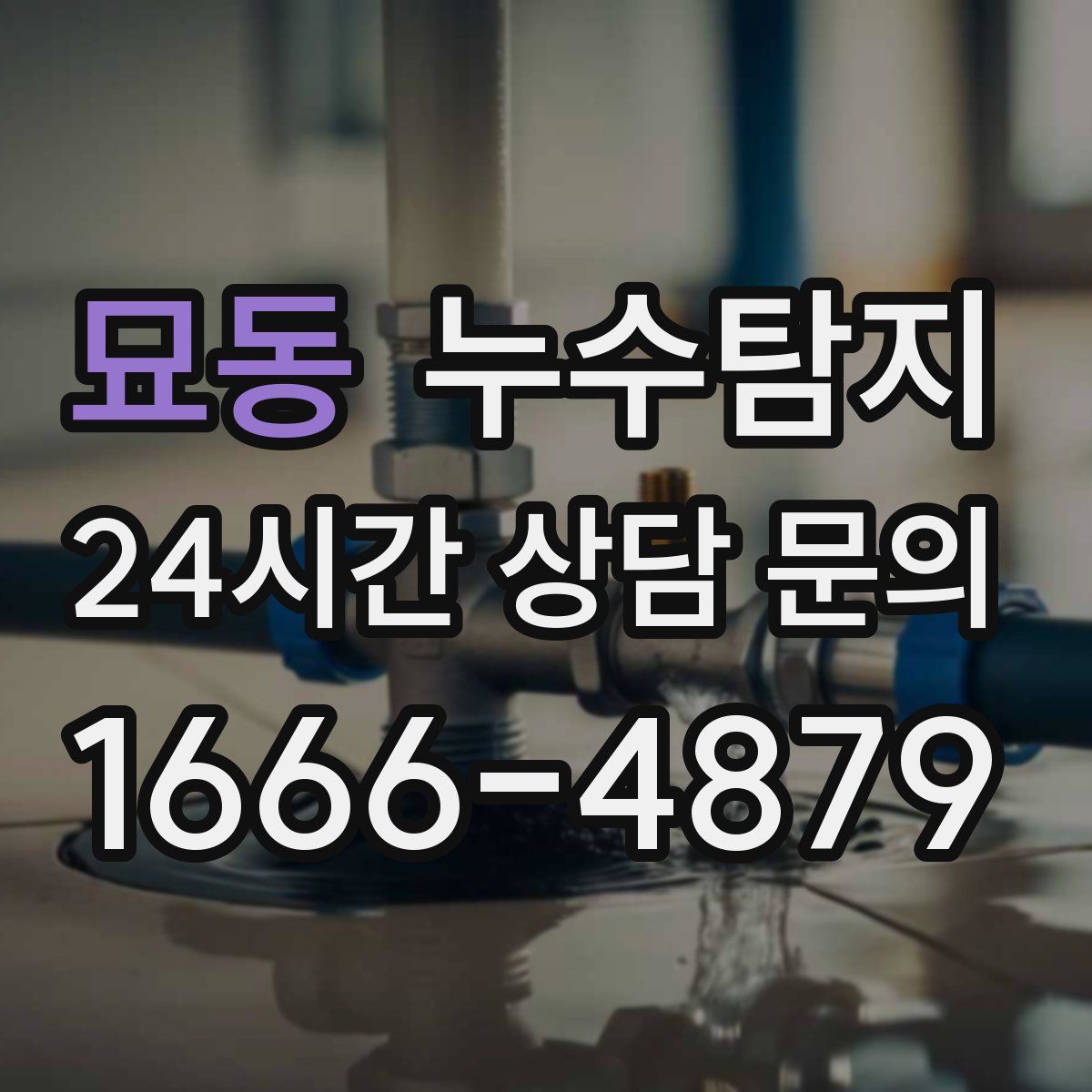 누수탐지