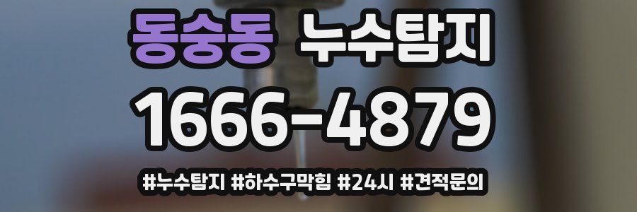 누수닥터 누수탐지