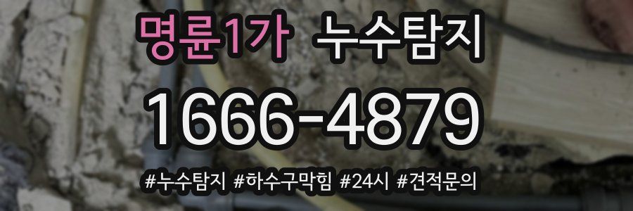 누수닥터 누수탐지