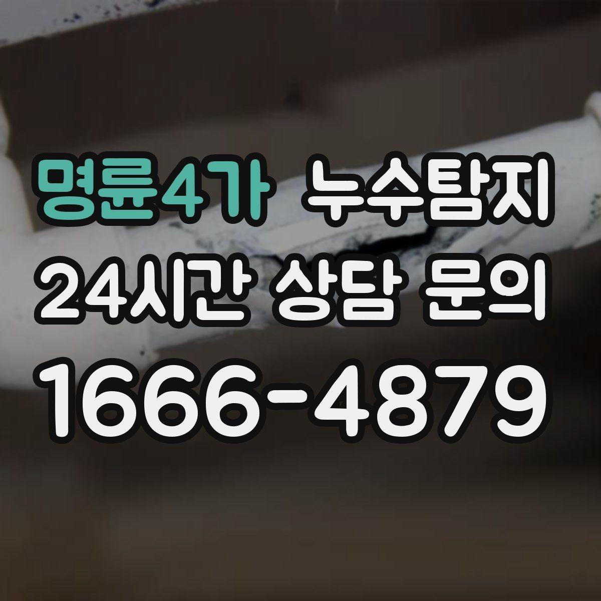 명륜4가 누수탐지 상가와 카페 영업 중 점검 노하우