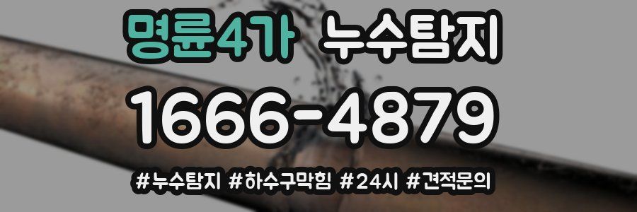 누수닥터 누수탐지