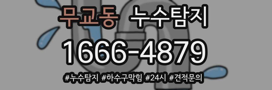 누수닥터 누수탐지