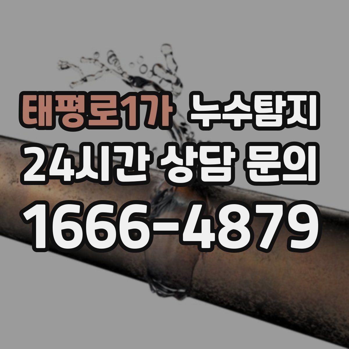 태평로1가 누수탐지 데이터 기반 진단이 준 신뢰