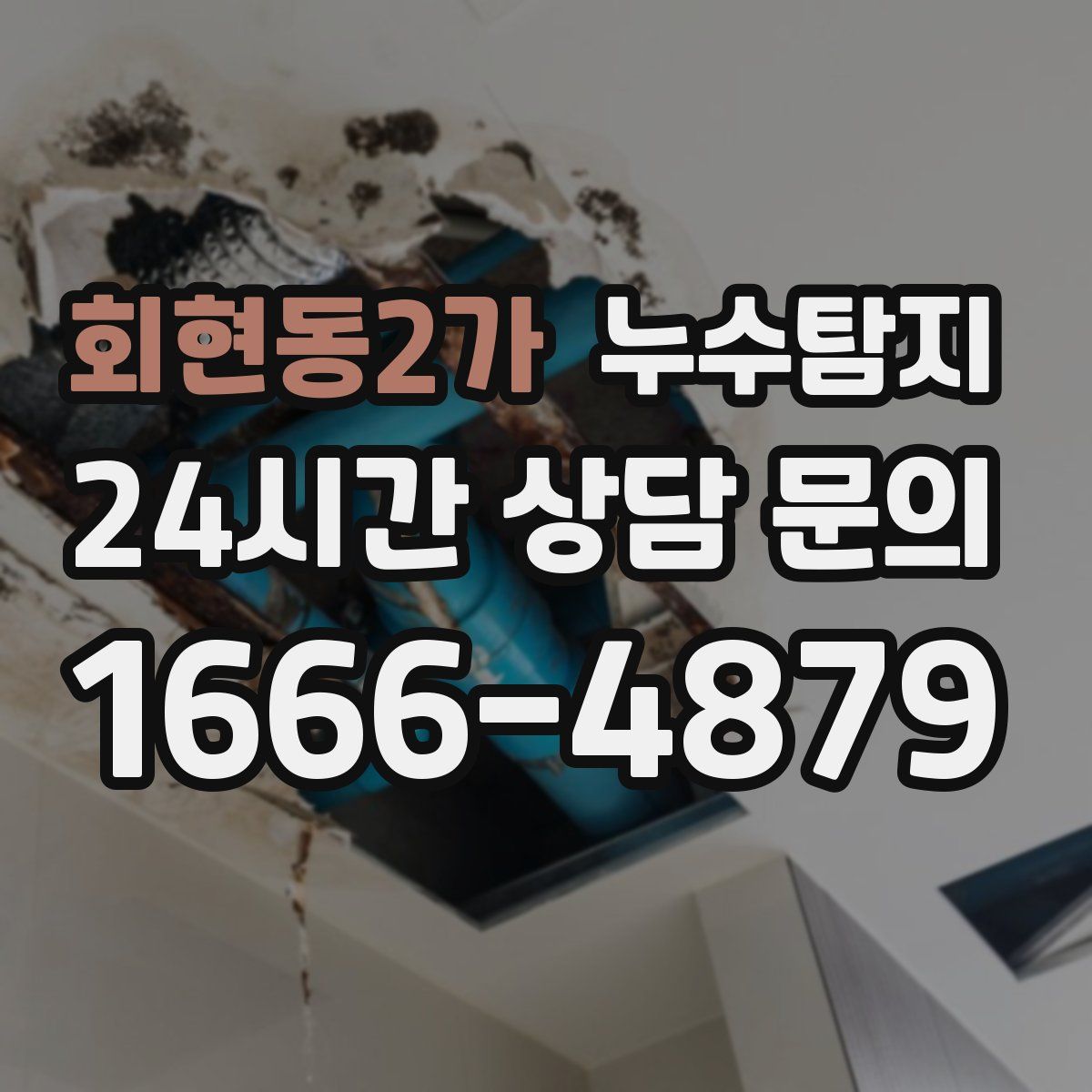 누수탐지
