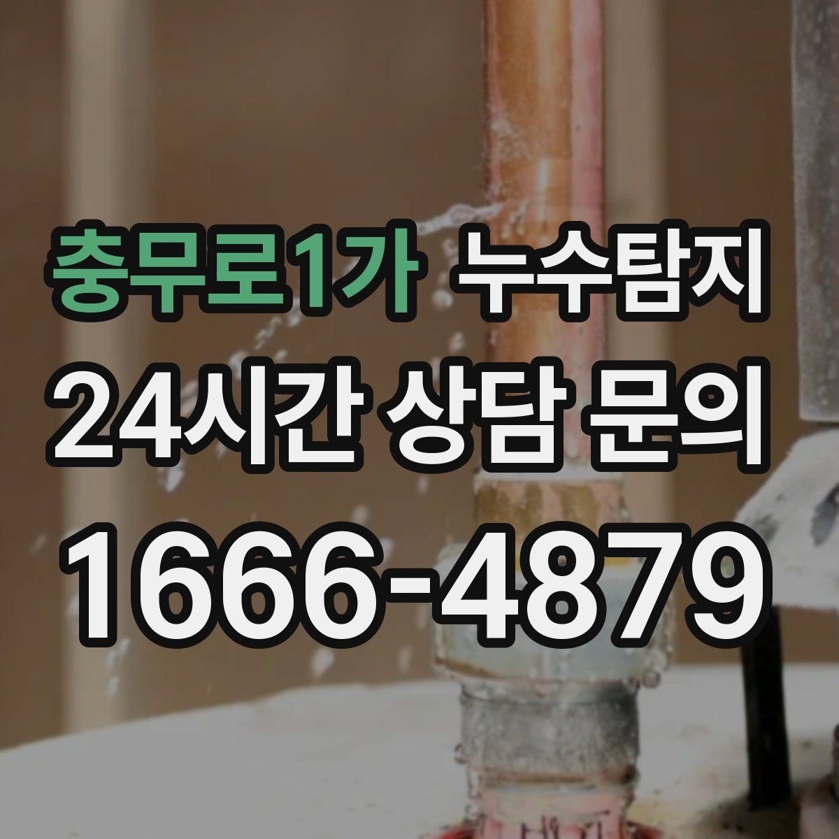 충무로1가 누수탐지 곰팡이 악취 원인 진단