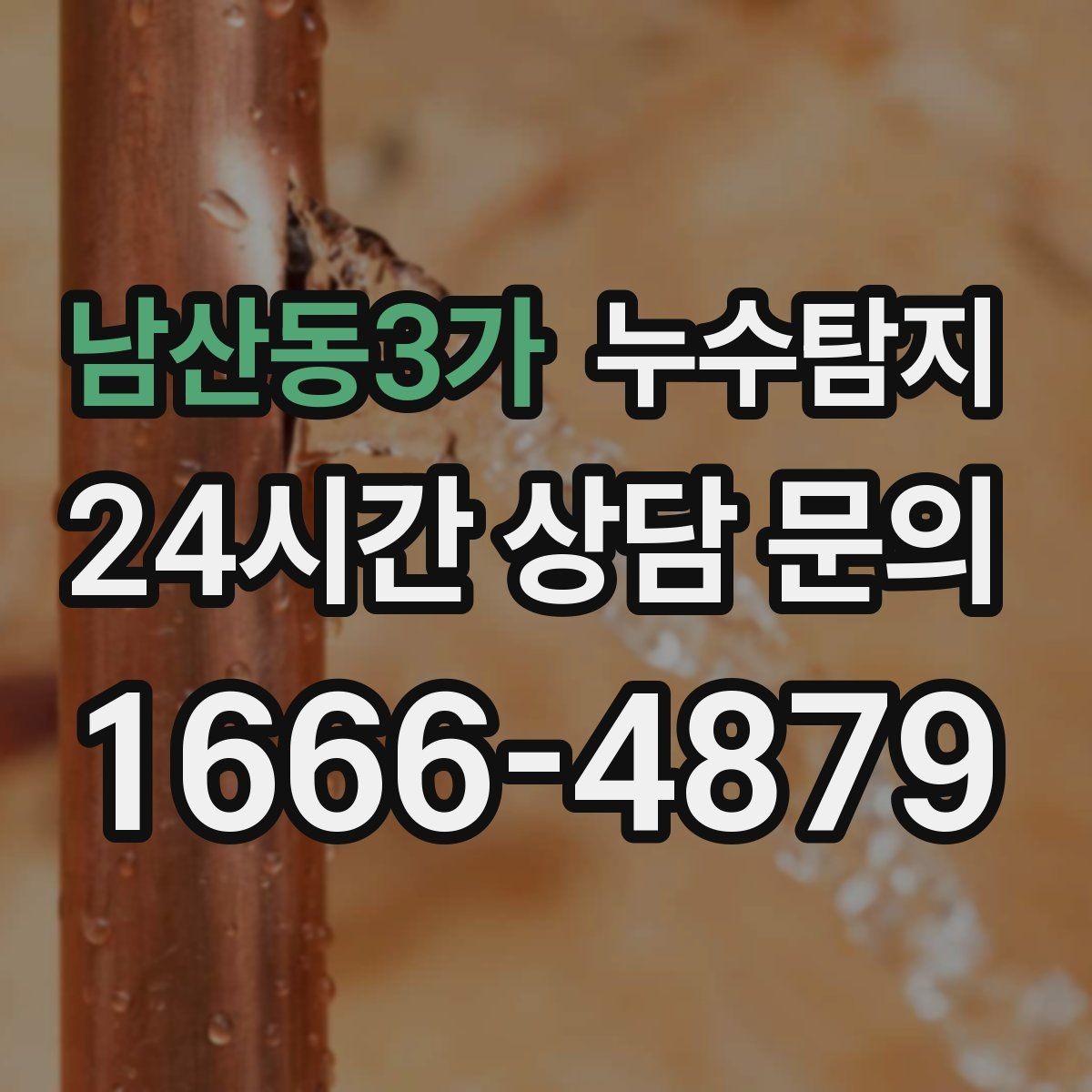 남산동3가 누수탐지 상가와 카페 영업 중 점검 노하우