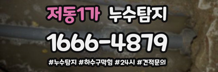 누수닥터 누수탐지
