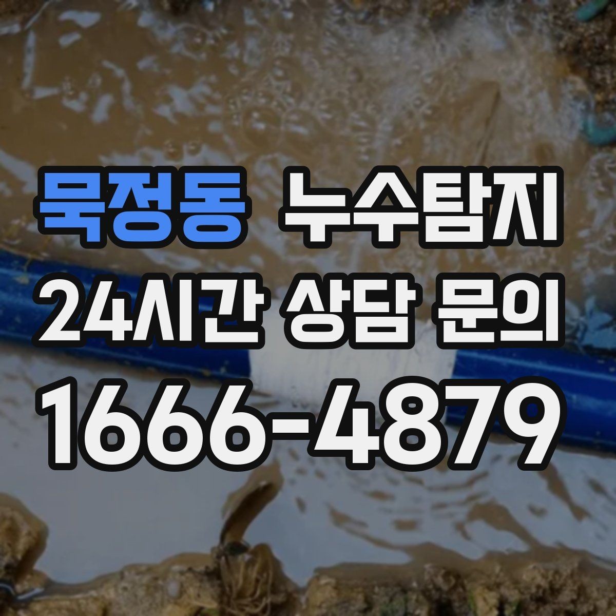 묵정동 누수탐지 타일 틈새 미세 누수 진단