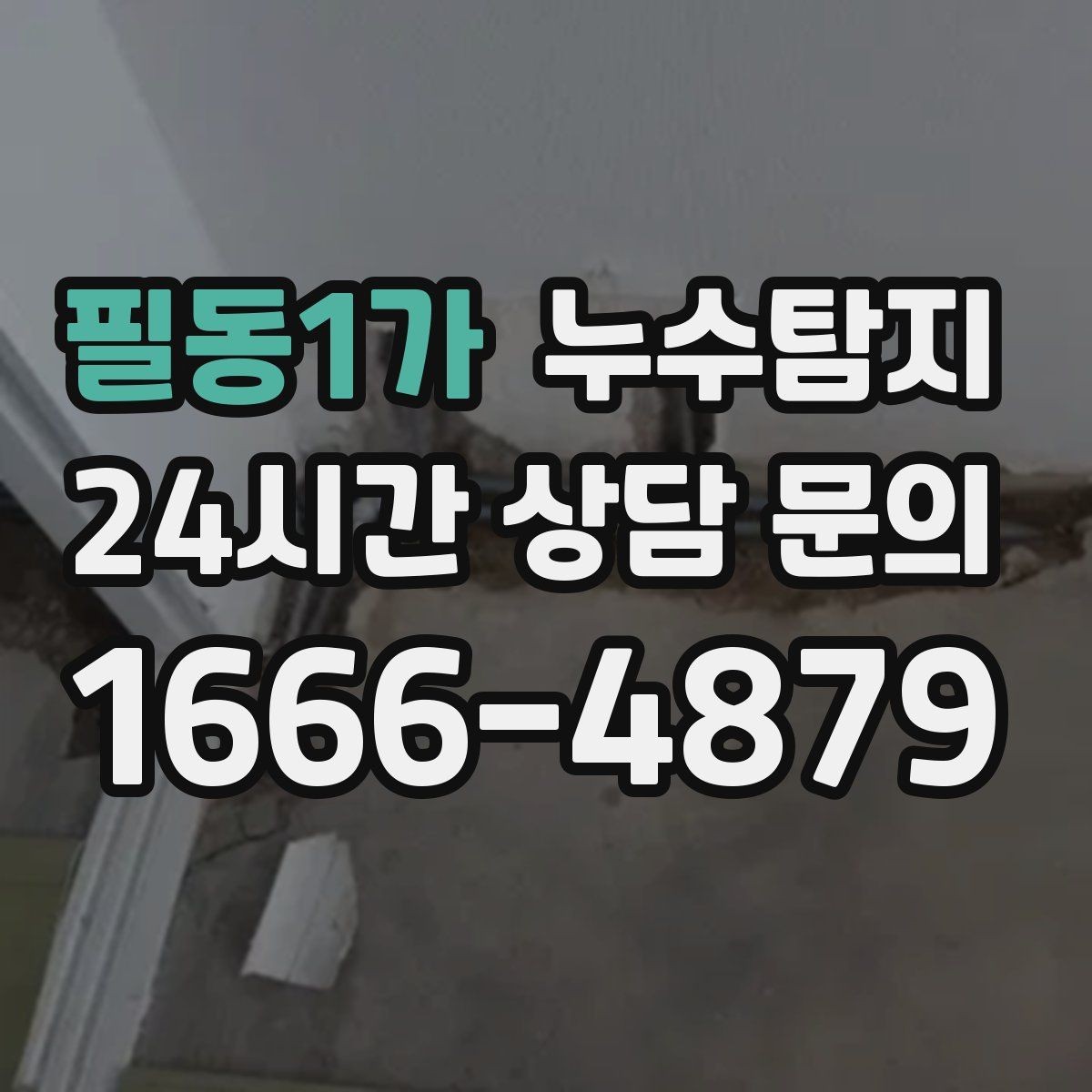 필동1가 누수탐지 집 안 공기질이 달라진 이유