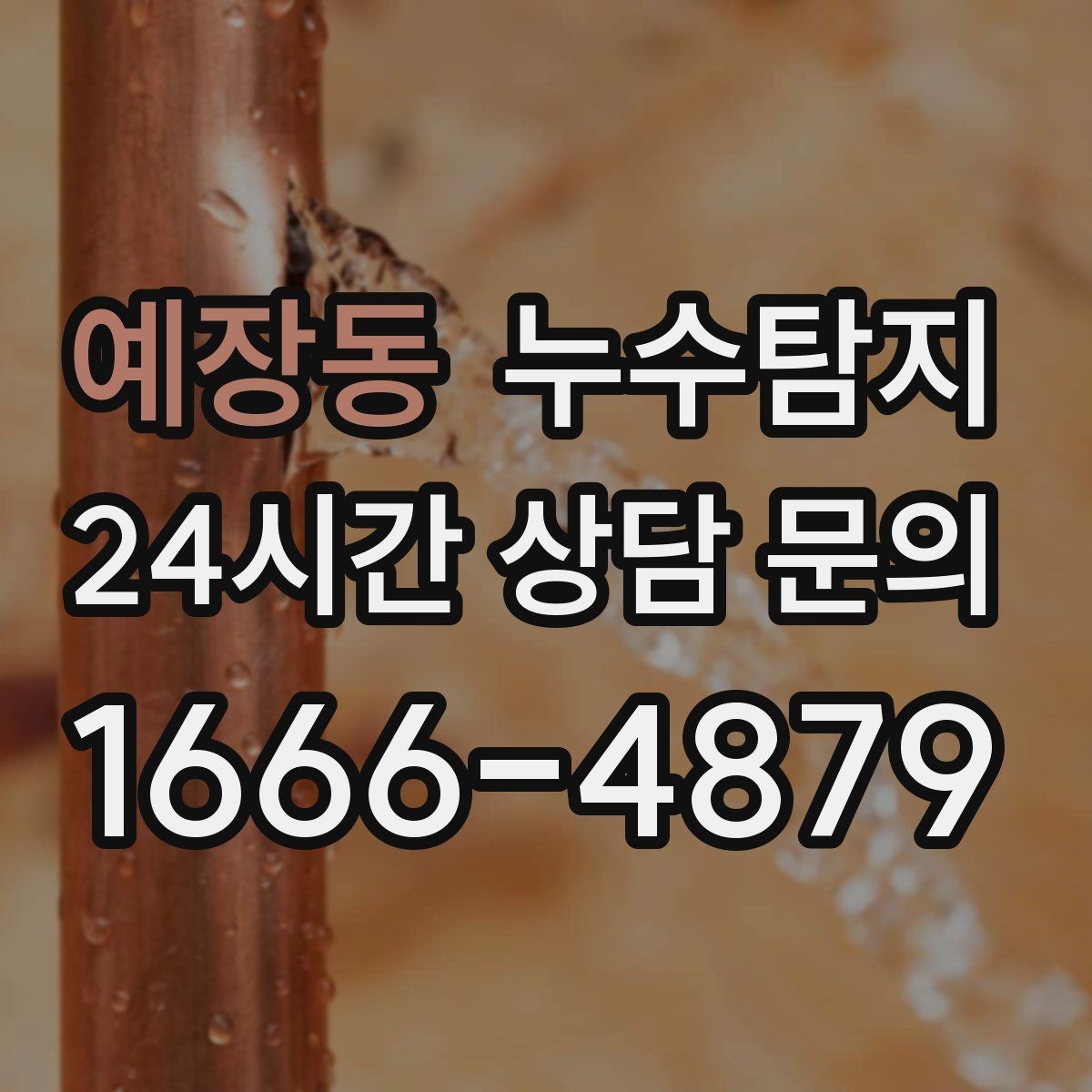 예장동 누수탐지 발코니 물고임 원인 제거기