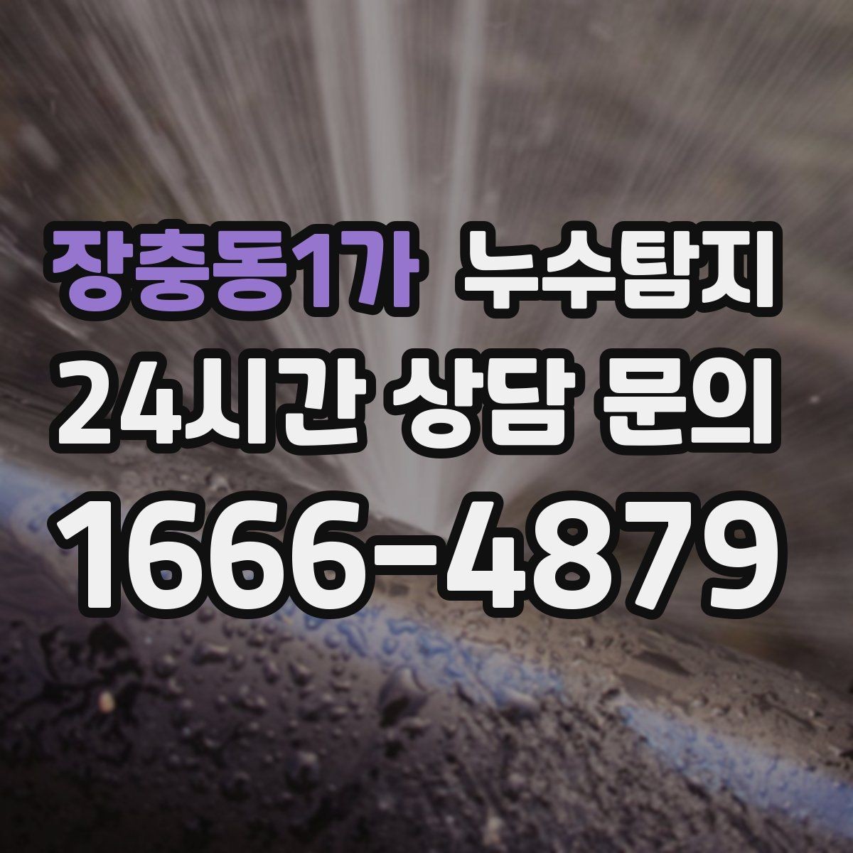장충동1가 누수탐지 외벽 침투수 초기 대응 기록
