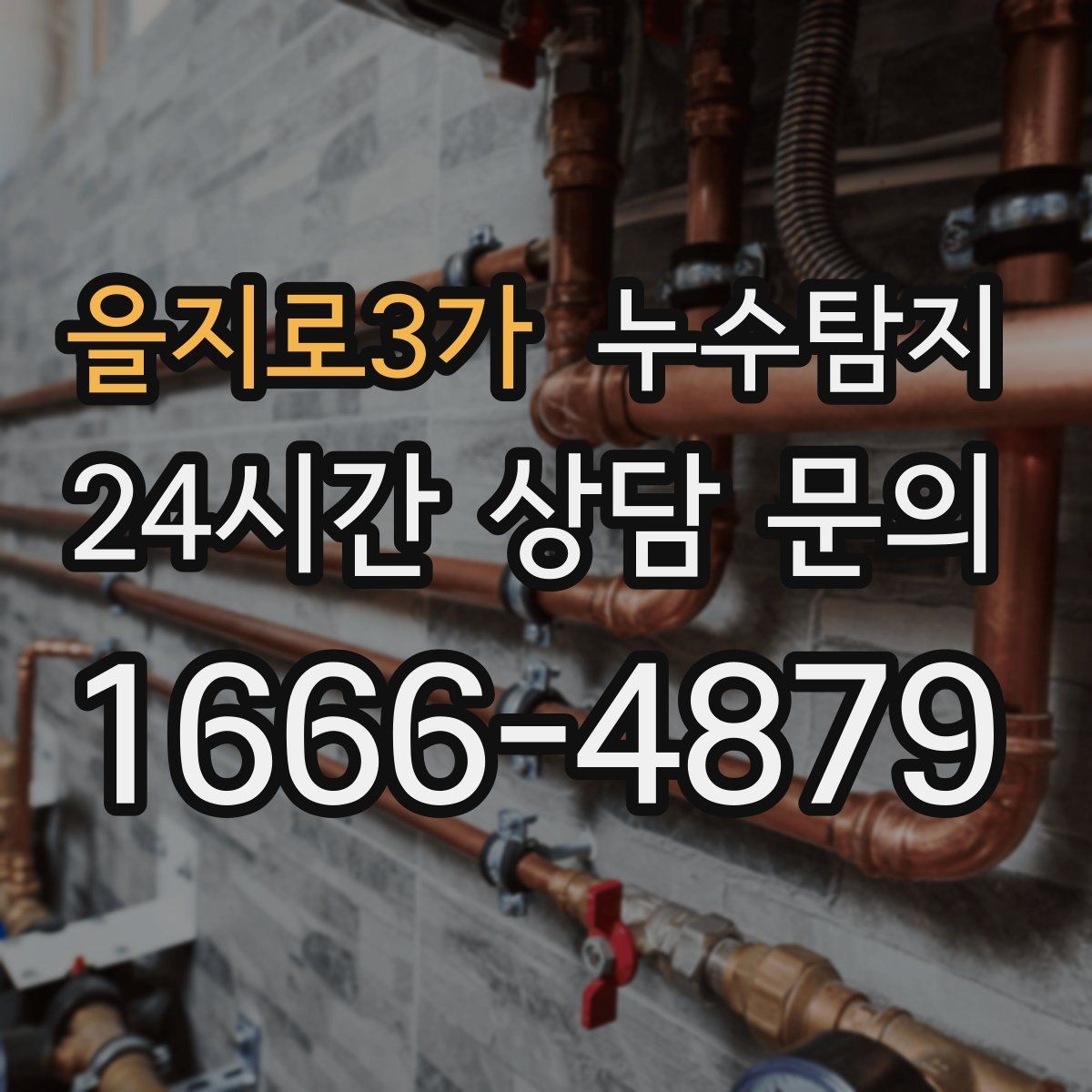 을지로3가 누수탐지 정밀 진단 후 최적 복구 제안