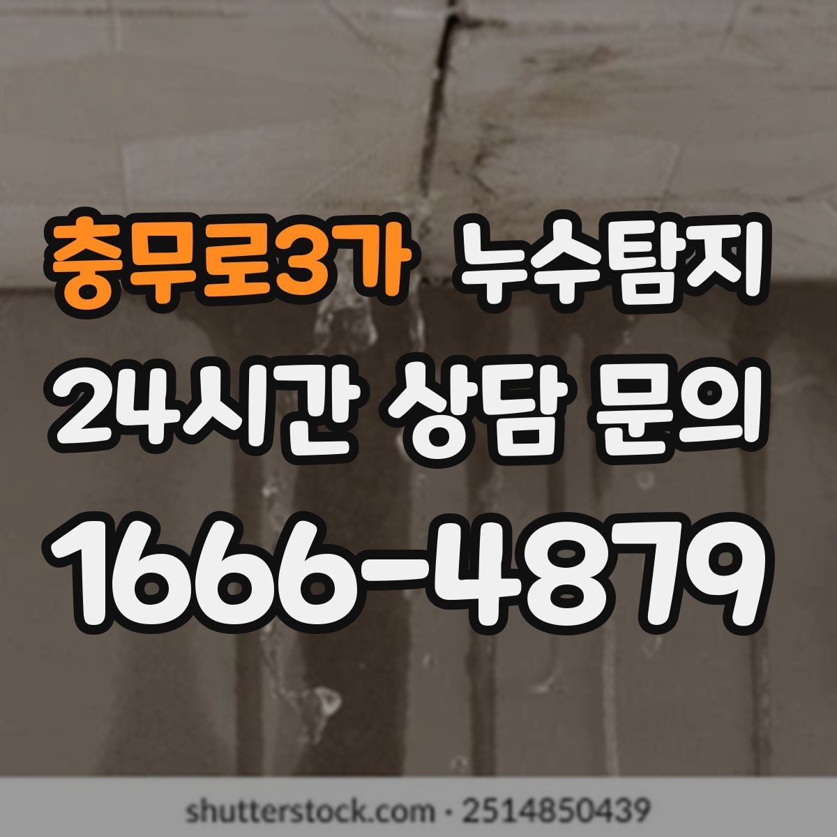 충무로3가 누수탐지 장판 들뜸 해결까지의 기록