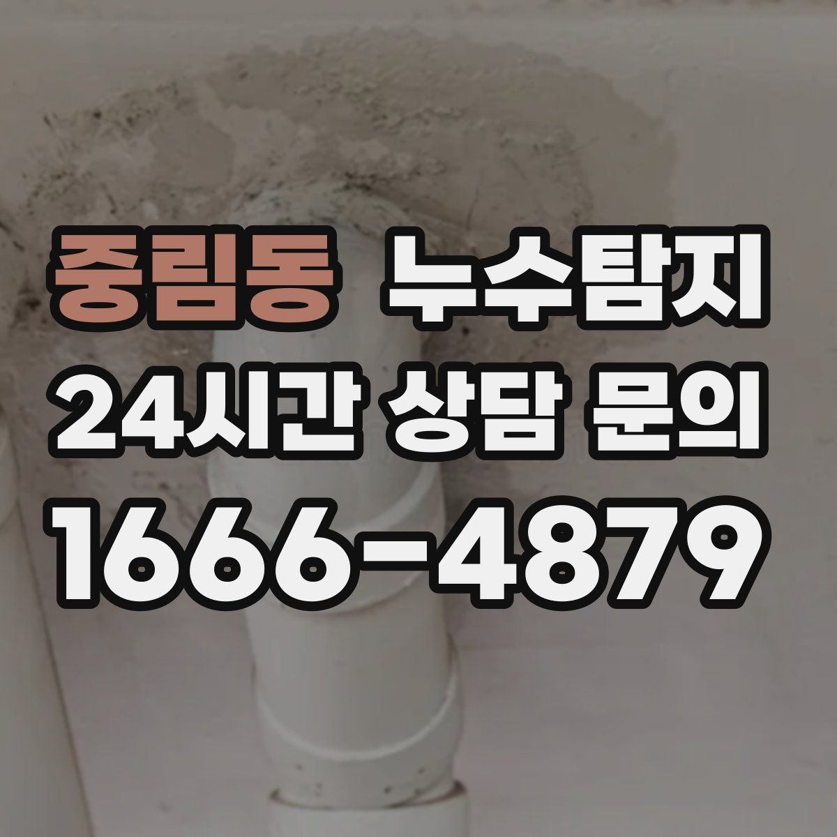 누수탐지