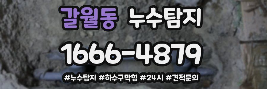 누수닥터 누수탐지