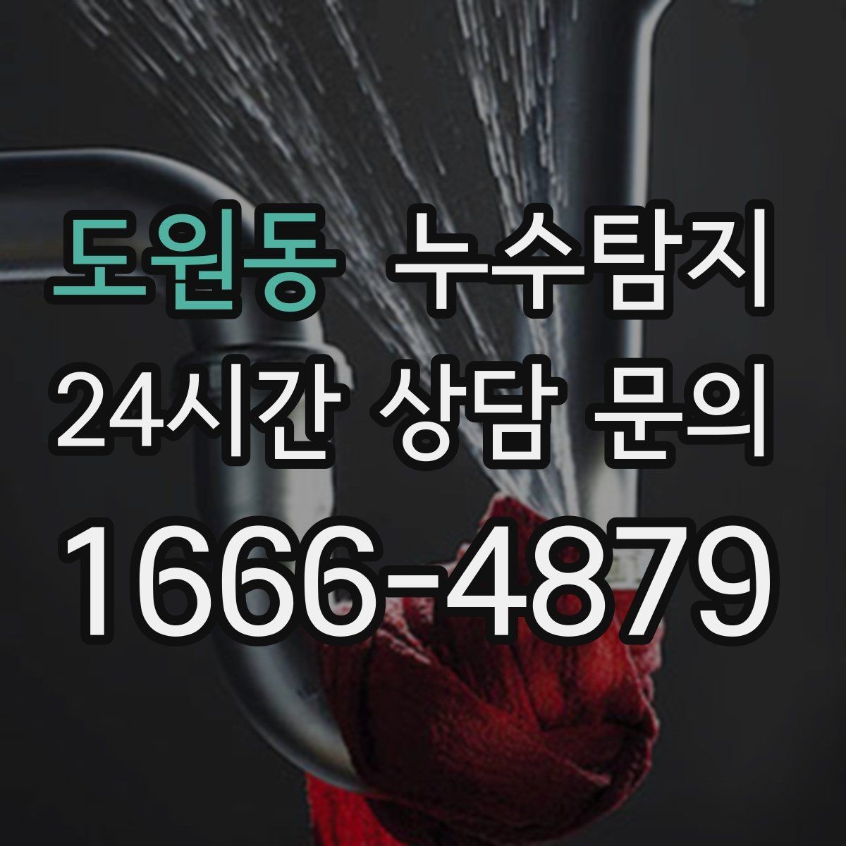도원동 누수탐지 욕실 곰팡이 사라진 변화 이야기