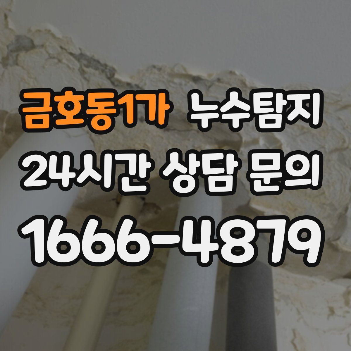 누수탐지